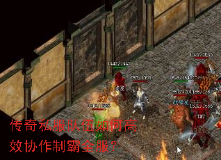 传奇私服队伍如何高效协作制霸全服? 传奇私服队伍如何高效协作制霸全服?