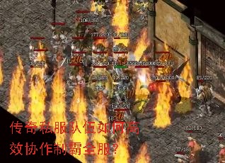 传奇私服队伍如何高效协作制霸全服? 传奇私服队伍如何高效协作制霸全服?