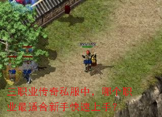 三职业传奇私服中,哪个职业最适合新手快速上手? 三职业传奇私服中,哪个职业最适合新手快速上手?