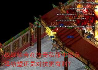 战战组合在传奇私服中应选择结盟还是对抗更有利? 战战组合在传奇私服中应选择结盟还是对抗更有利?