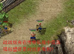 战战组合在传奇私服中应选择结盟还是对抗更有利? 战战组合在传奇私服中应选择结盟还是对抗更有利?