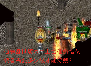 仙舞乱世版本中上古仙穷惜花装备需要多少级才能穿戴? 仙舞乱世版本中上古仙穷惜花装备需要多少级才能穿戴?