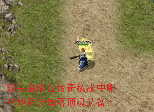 双头金刚在传奇私服中哪些地图会掉落顶级装备? 双头金刚在传奇私服中哪些地图会掉落顶级装备?