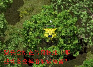 双头金刚在传奇私服中哪些地图会掉落顶级装备? 双头金刚在传奇私服中哪些地图会掉落顶级装备?
