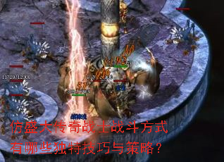 仿盛大传奇战士战斗方式有哪些独特技巧与策略? 仿盛大传奇战士战斗方式有哪些独特技巧与策略?