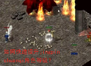 如何快速提升jingpinchuanqi角色等级? 如何快速提升jingpinchuanqi角色等级?