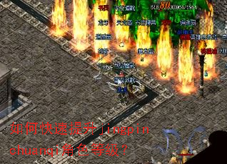 如何快速提升jingpinchuanqi角色等级? 如何快速提升jingpinchuanqi角色等级?