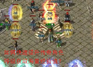 如何快速提升传奇角色等级获取海量经验值? 如何快速提升传奇角色等级获取海量经验值?