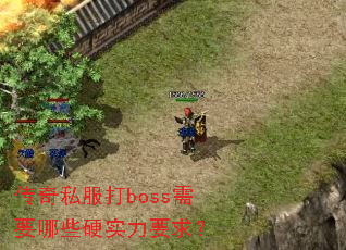 传奇私服打boss需要哪些硬实力要求? 传奇私服打boss需要哪些硬实力要求?