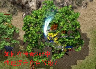 如何在传奇3sf中快速提升角色等级? 如何在传奇3sf中快速提升角色等级?