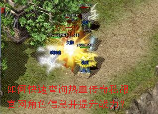 如何快速查询热血传奇私服官网角色信息并提升战力? 如何快速查询热血传奇私服官网角色信息并提升战力?