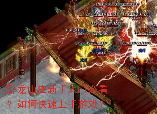 卧龙山庄新手入门必看?如何快速上手游戏? 卧龙山庄新手入门必看?如何快速上手游戏?