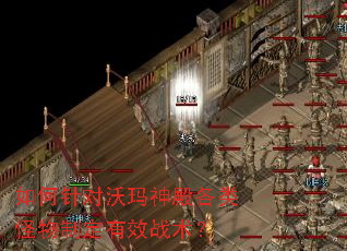 如何针对沃玛神殿各类怪物制定有效战术? 如何针对沃玛神殿各类怪物制定有效战术?