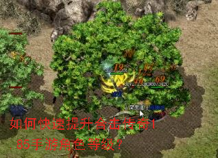 如何快速提升合击传奇1.85手游角色等级? 如何快速提升合击传奇1.85手游角色等级?