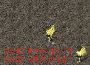 逆天单职业传奇私服新手如何快速升级获取顶级装备? 逆天单职业传奇私服新手如何快速升级获取顶级装备?
