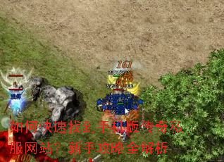 如何快速找到手机版传奇私服网站?新手攻略全解析 如何快速找到手机版传奇私服网站?新手攻略全解析