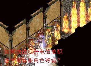 如何快速提升电信单职业传奇私服角色等级? 如何快速提升电信单职业传奇私服角色等级?