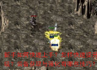 新手如何快速上手?怎样快速提升等级?装备获取与强化有哪些技巧? 新手如何快速上手?怎样快速提升等级?装备获取与强化有哪些技巧?