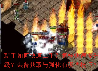新手如何快速上手?怎样快速提升等级?装备获取与强化有哪些技巧? 新手如何快速上手?怎样快速提升等级?装备获取与强化有哪些技巧?