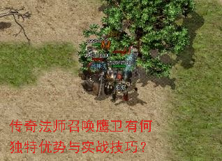 传奇法师召唤鹰卫有何独特优势与实战技巧? 传奇法师召唤鹰卫有何独特优势与实战技巧?