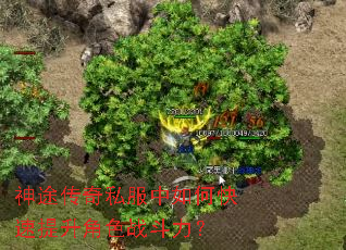 神途传奇私服中如何快速提升角色战斗力? 神途传奇私服中如何快速提升角色战斗力?