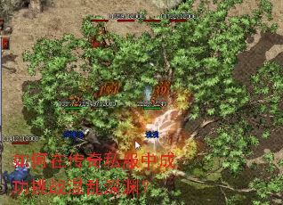 如何在传奇私服中成功挑战混乱深渊? 如何在传奇私服中成功挑战混乱深渊?