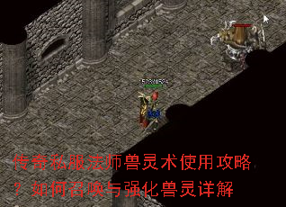 传奇私服法师兽灵术使用攻略?如何召唤与强化兽灵详解 传奇私服法师兽灵术使用攻略?如何召唤与强化兽灵详解