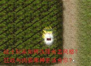 战士玩家如何选择合击风格?狂战与肉盾哪种更适合你? 战士玩家如何选择合击风格?狂战与肉盾哪种更适合你?
