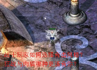 战士玩家如何选择合击风格?狂战与肉盾哪种更适合你? 战士玩家如何选择合击风格?狂战与肉盾哪种更适合你?
