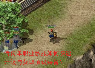 传奇单职业私服如何快速升级与获取顶级装备? 传奇单职业私服如何快速升级与获取顶级装备?
