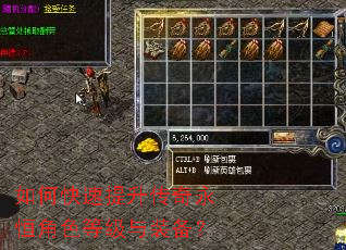如何快速提升传奇永恒角色等级与装备? 如何快速提升传奇永恒角色等级与装备?