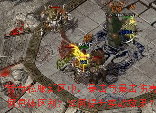 传奇私服新区中,暴击与暴击伤害有何具体区别?如何提升实战效果? 传奇私服新区中,暴击与暴击伤害有何具体区别?如何提升实战效果?