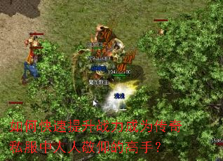 如何快速提升战力成为传奇私服中人人敬仰的高手? 如何快速提升战力成为传奇私服中人人敬仰的高手?