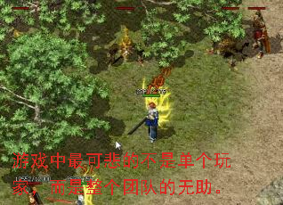 游戏中最可悲的不是单个玩家,而是整个团队的无助。 游戏中最可悲的不是单个玩家,而是整个团队的无助。