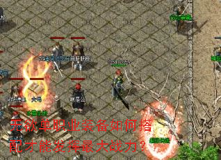 无欲单职业装备如何搭配才能发挥最大战力? 无欲单职业装备如何搭配才能发挥最大战力?