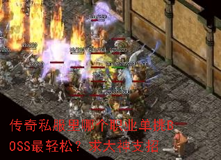 ����˽�����ĸ�ְҵ����BOSS�����ɣ������֧��