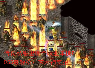 ����˽�����ĸ�ְҵ����BOSS�����ɣ������֧��