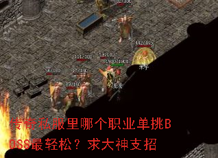 ����˽�����ĸ�ְҵ����BOSS�����ɣ������֧��