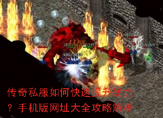 ����˽����ο�������ս�����ֻ�����ַ��ȫ���Խ���