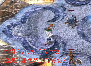 如何在sf999手游中快速提升角色战力与等级? 如何在sf999手游中快速提升角色战力与等级?