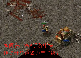 如何在sf999手游中快速提升角色战力与等级? 如何在sf999手游中快速提升角色战力与等级?