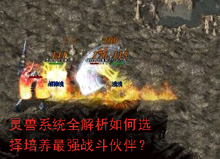 灵兽系统全解析如何选择培养最强战斗伙伴? 灵兽系统全解析如何选择培养最强战斗伙伴?