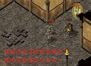 灵兽系统全解析如何选择培养最强战斗伙伴? 灵兽系统全解析如何选择培养最强战斗伙伴?