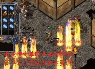 微变传奇单职业如何选择?新手入门攻略有哪些要点? 微变传奇单职业如何选择?新手入门攻略有哪些要点?