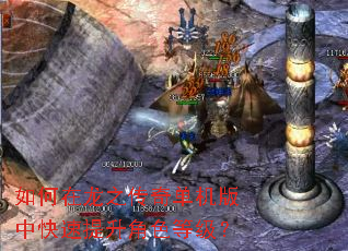 如何在龙之传奇单机版中快速提升角色等级? 如何在龙之传奇单机版中快速提升角色等级?