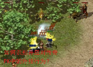 如何识别并应对传奇PK中的外挂行为? 如何识别并应对传奇PK中的外挂行为?