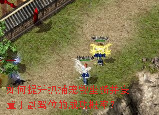 如何提升抓捕宠物坐骑并安置于副驾位的成功概率? 如何提升抓捕宠物坐骑并安置于副驾位的成功概率?