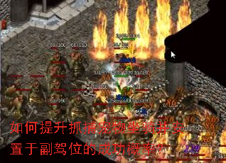如何提升抓捕宠物坐骑并安置于副驾位的成功概率? 如何提升抓捕宠物坐骑并安置于副驾位的成功概率?