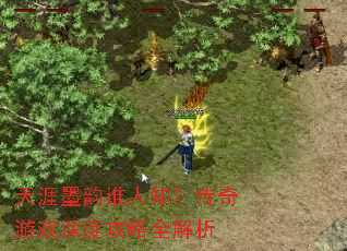 天涯墨韵谁人知?传奇游戏深度攻略全解析 天涯墨韵谁人知?传奇游戏深度攻略全解析