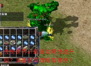 传奇世界sf新服如何快速升级?装备获取攻略有哪些? 传奇世界sf新服如何快速升级?装备获取攻略有哪些?